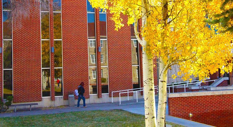 Library exterior image